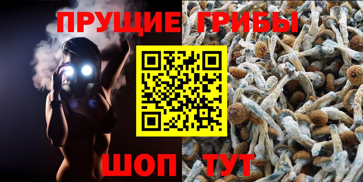Псилоцибиновые грибы Psilocybe  Вход с VPN  Тимашёвск 